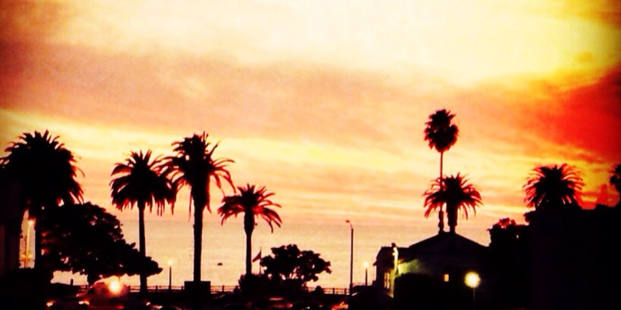 305Beach's profile banner image