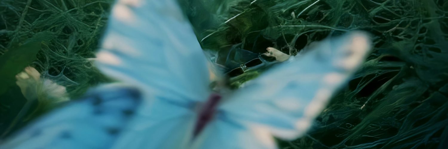 D770901's profile banner image