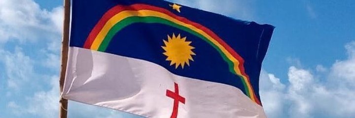 Incel Honoris Causa🔴⚫🦁 banner