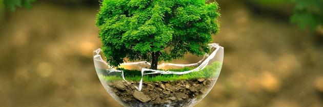 InterestingWorld banner