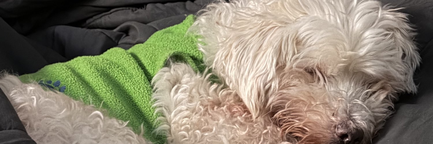 Daniel O’Connor✝️ banner