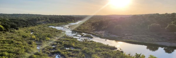 ana_canedog Profile Banner