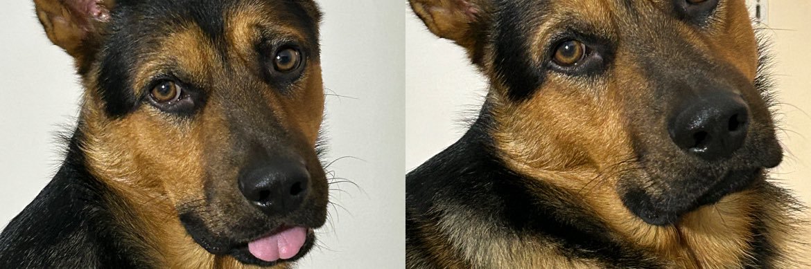 MiliCervera's profile banner image