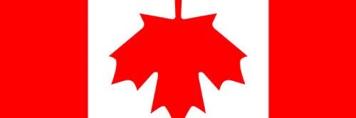 Infowarrior2🇺🇸🇨🇦 banner
