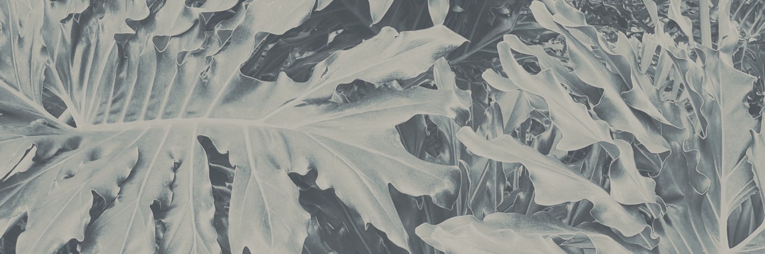 Orange Blossom Ordinary's banner