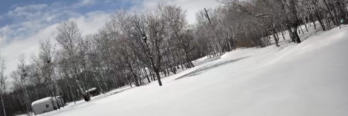 CANELA🐕🫶 banner