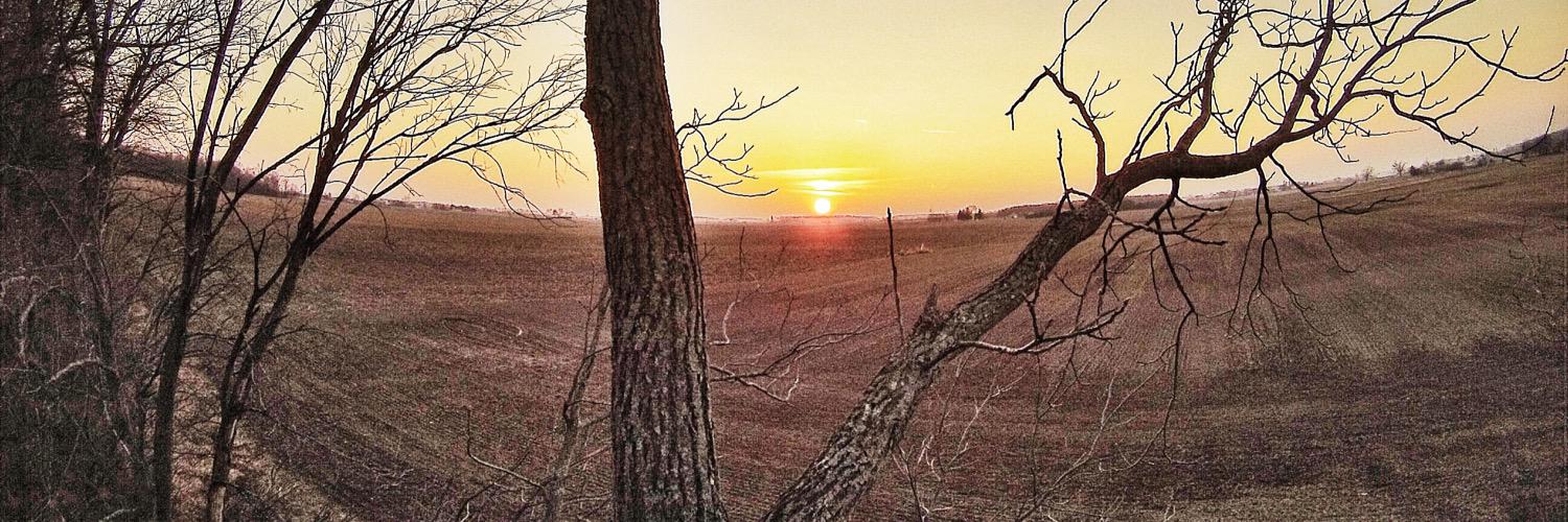 mbutler419's profile banner image