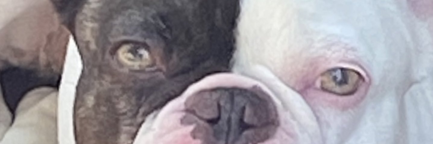 James Wrobel banner