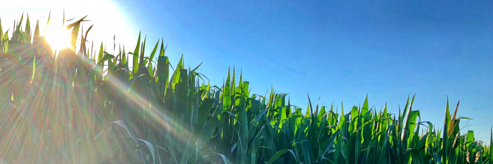AdamSeedsCo's profile banner image