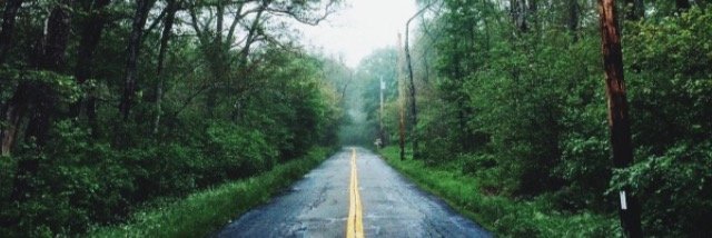 sarahtom498's profile banner image