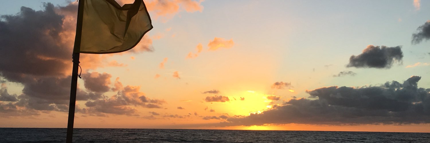 Vicc14's profile banner image