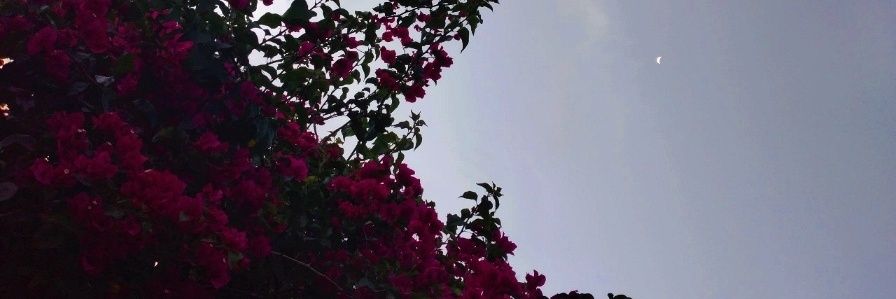 estefanialcasay's profile banner image