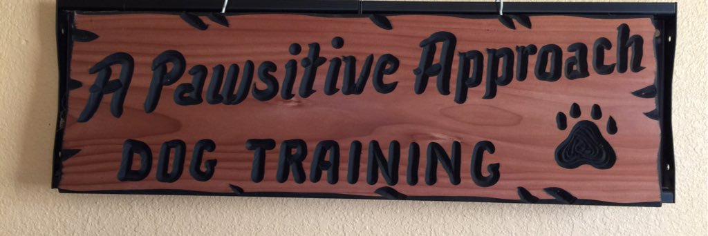 TexasServiceDog's profile banner image