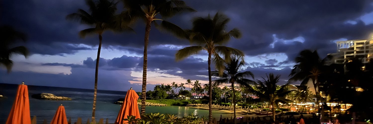 ANA💍アナ banner