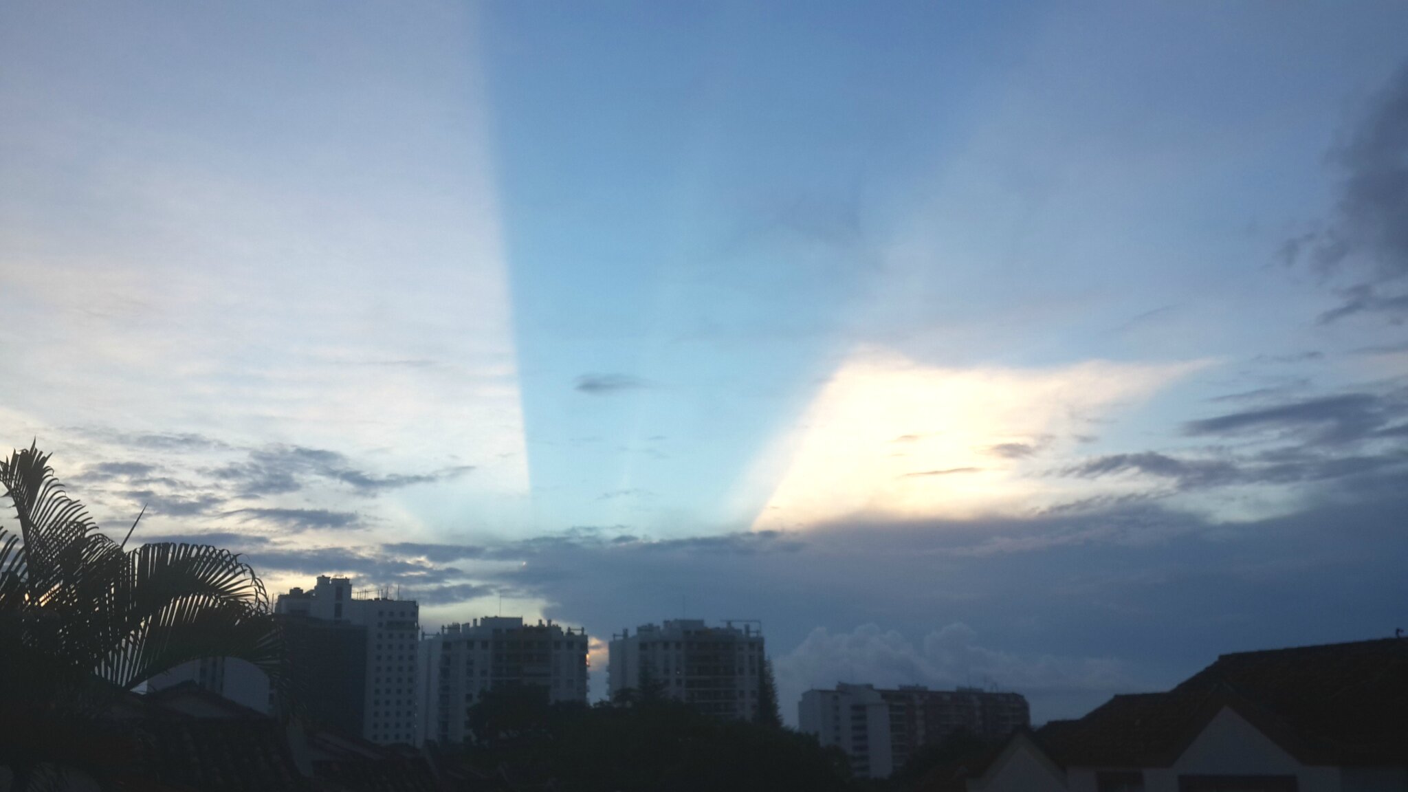 OTapiasM's profile banner image