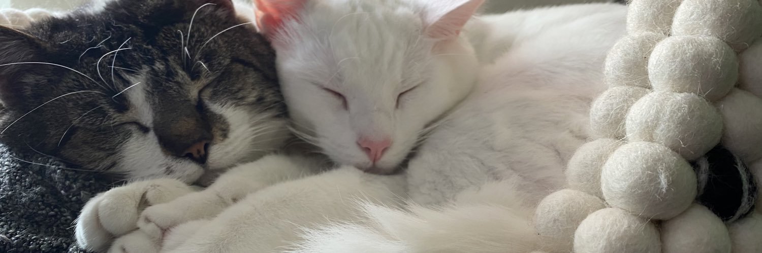 cubeenigma☄️👁️‍🗨️ banner