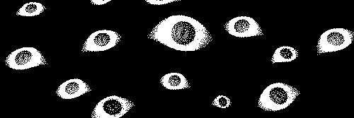 ;noel! banner