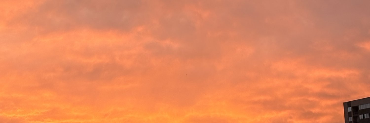 cremitabaileys's profile banner image