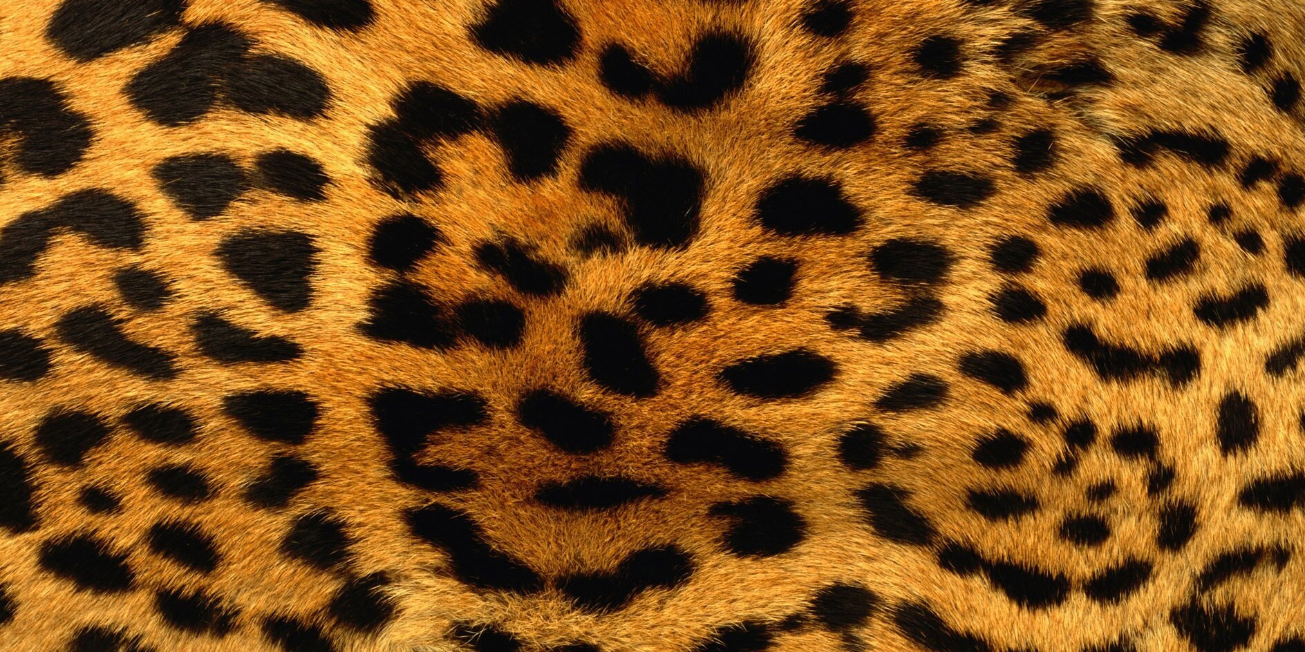 Beba261's profile banner image
