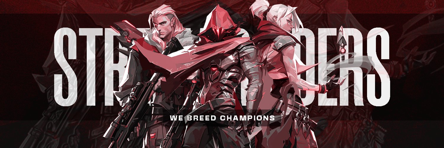 Stream Raiders banner