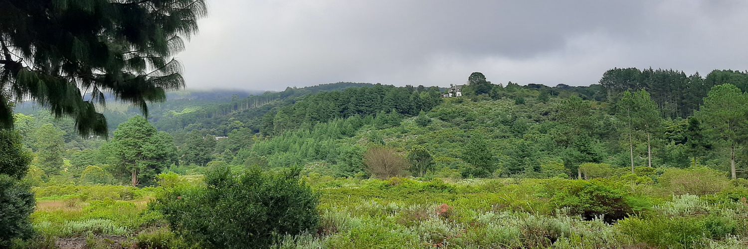 Balance 🌱 banner