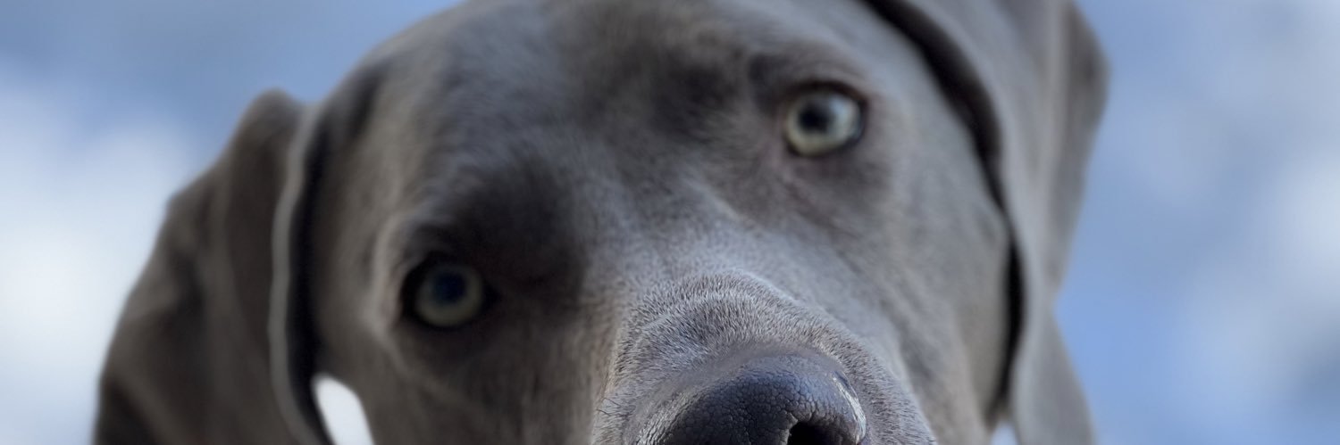 NathanGorr's profile banner image