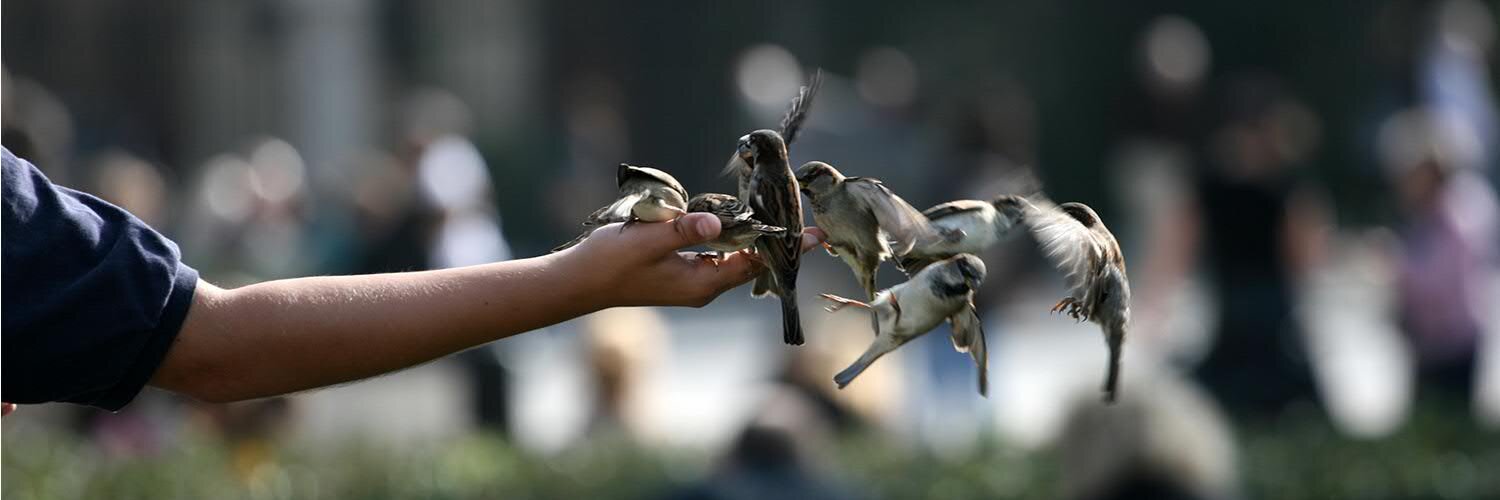 Lukáš Foldina banner