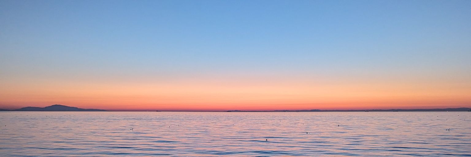Blue_moon_water's profile banner image
