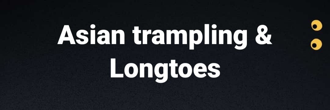 trampling.vs.longtoes banner