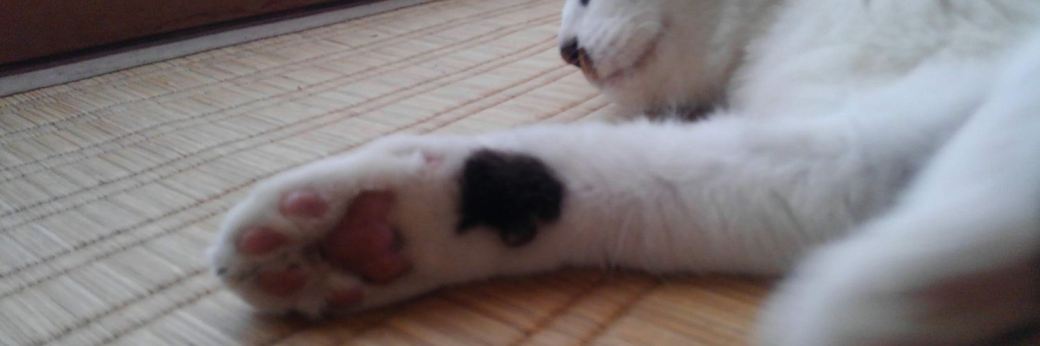 abeh3333's profile banner image