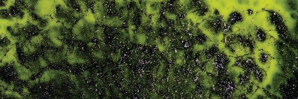 evaj808 Profile Banner