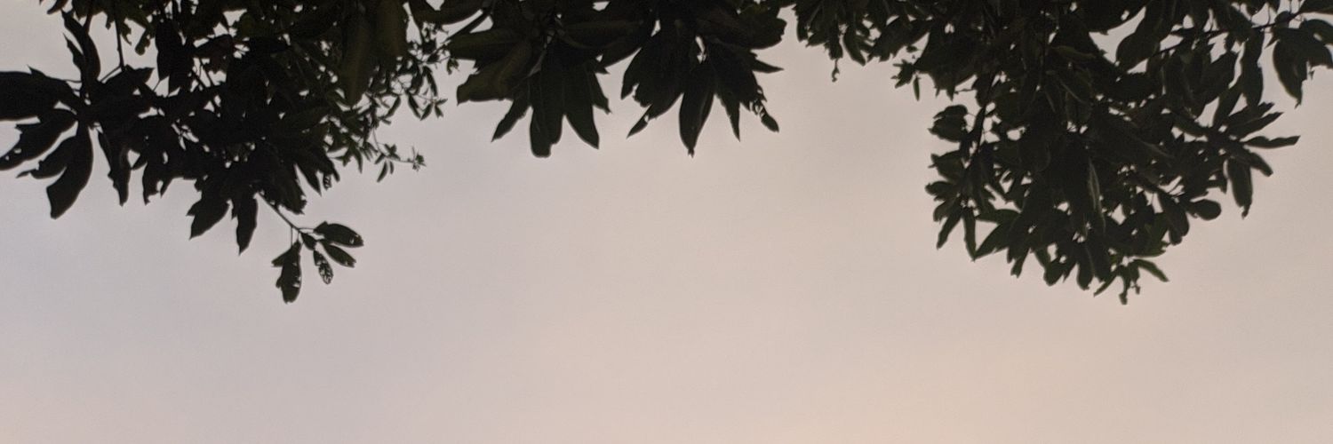 Marss banner