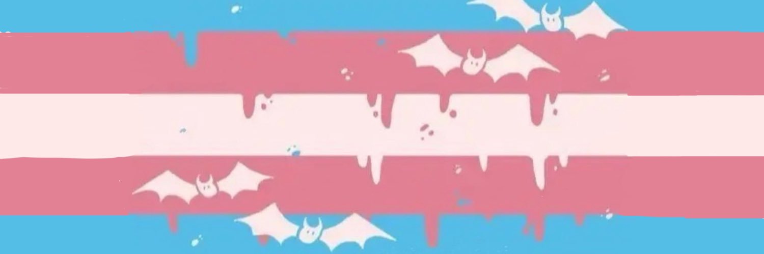AlliKatVT's profile banner image