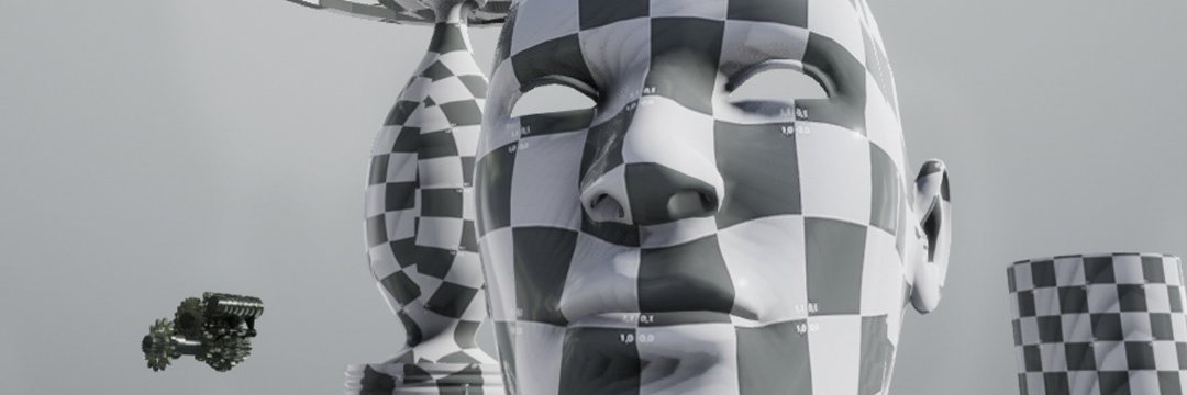 ErizoCriollo 🗽 banner