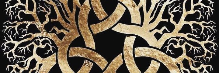 lfk1971's profile banner image
