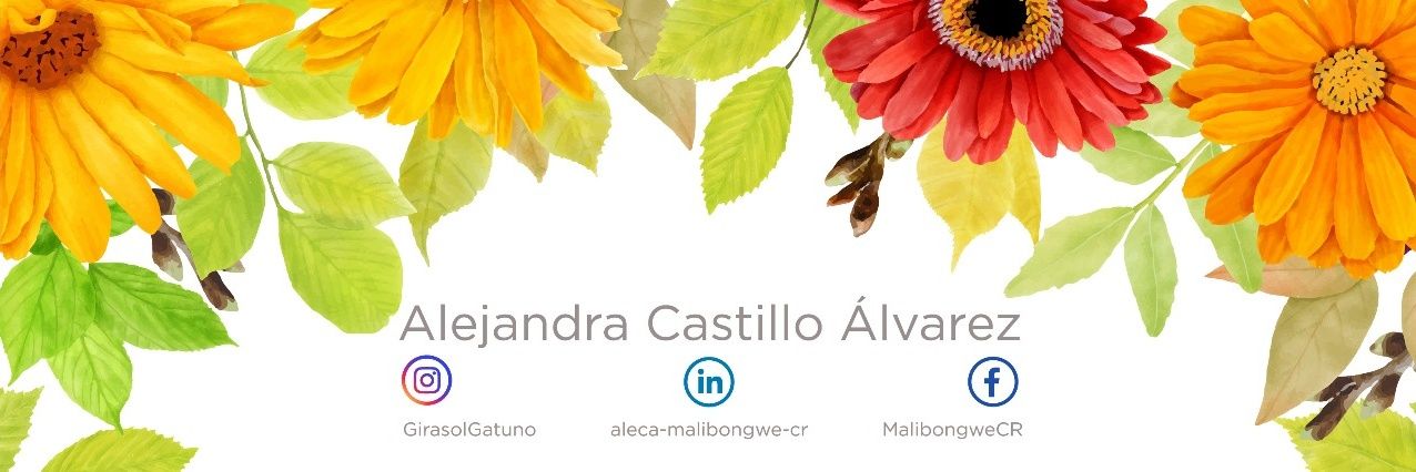 ale20castil's profile banner image