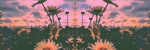 hey_ashh's profile banner image