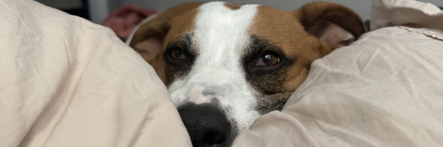Ricky614's profile banner image