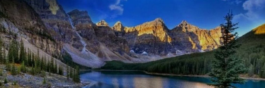 สายป่านหลงป่า 🌳🌵🌴🌿 banner