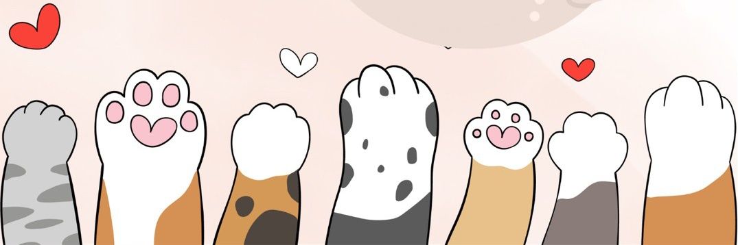 PT_pasta_'s profile banner image