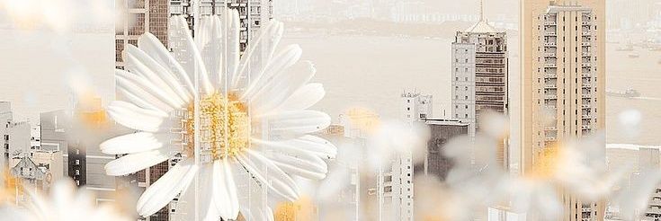 Yumisa CLOSE banner