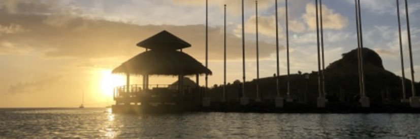 AnnCmlconst's profile banner image