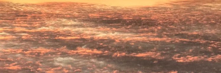 asliiozcan's profile banner image