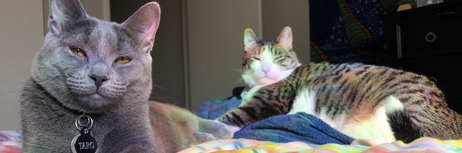 shelbbones's profile banner image