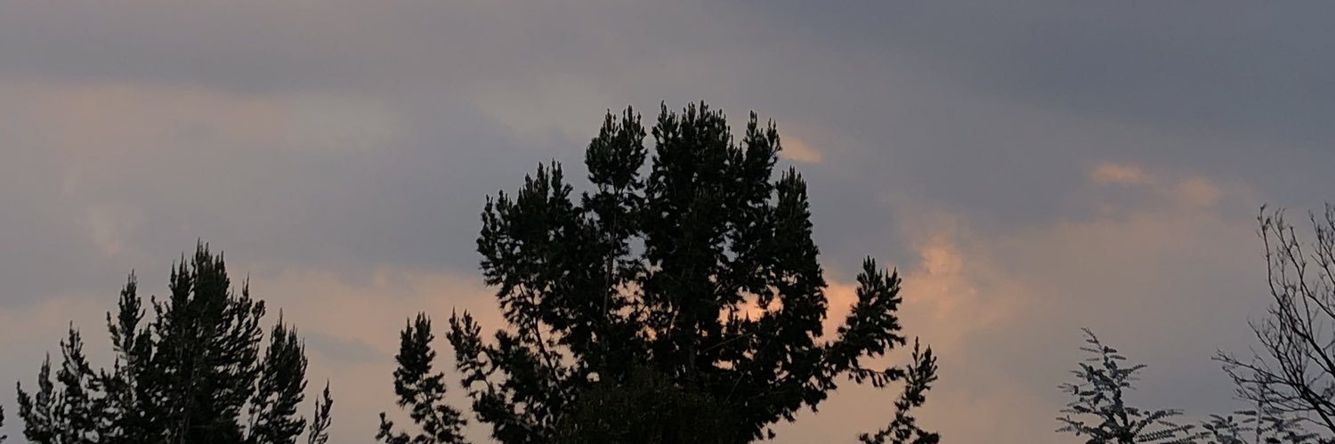 sof_garcie's profile banner image
