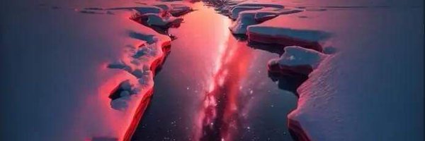 Daniels55425810 Profile Banner