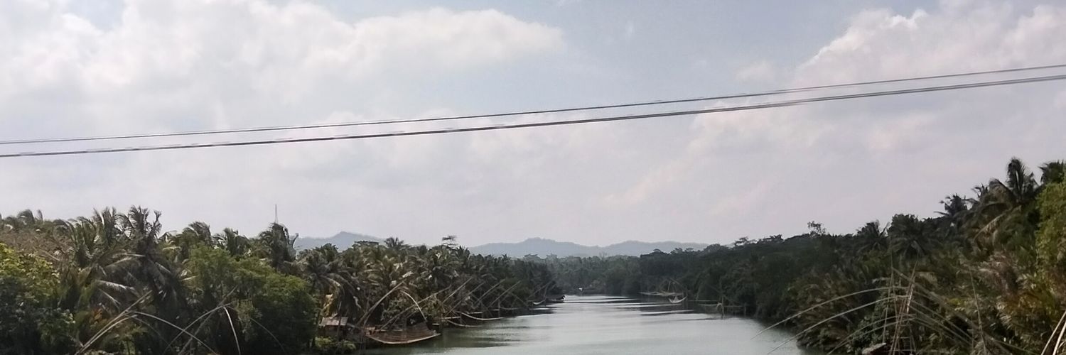 panipanpaankek's profile banner image