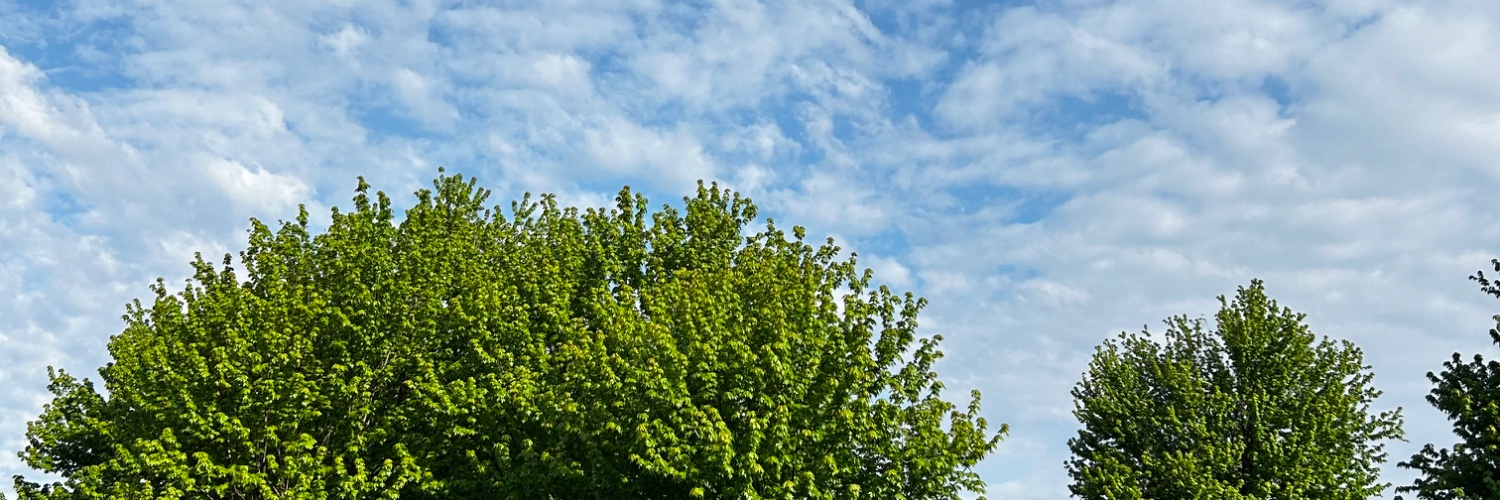 DougWolter's profile banner image