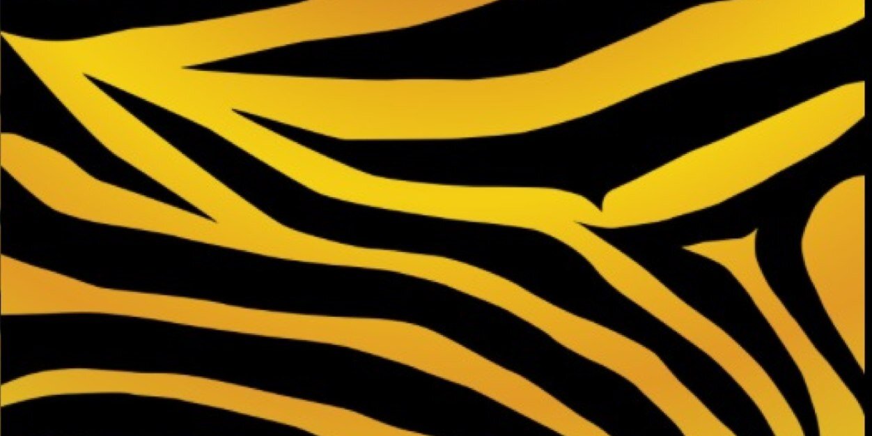 bvhschoir's profile banner image