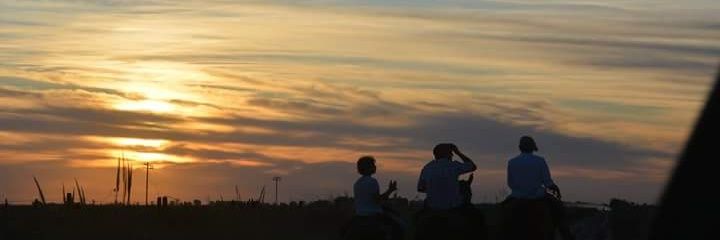 CAMPITO004's profile banner image